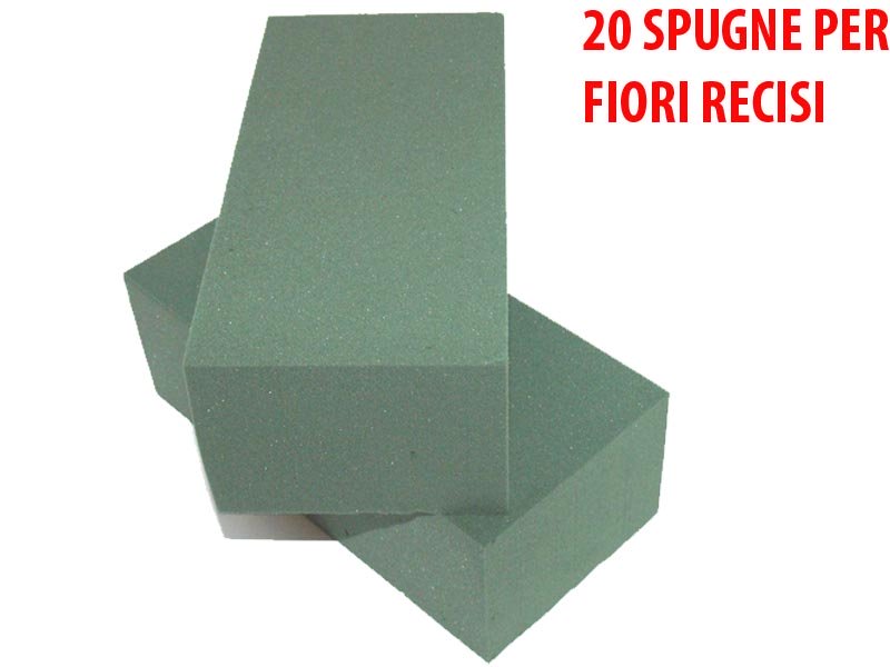 20 SPUGNE PER FIORI RECISI FRESCHI
