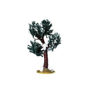 ALBERO INNEVATO MEDIO - WHITE MULBERRY TREE, MEDIUM