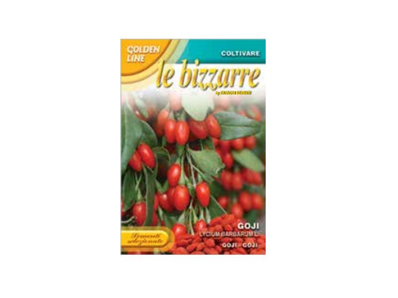 GOJI LYCIUM BARBARUM