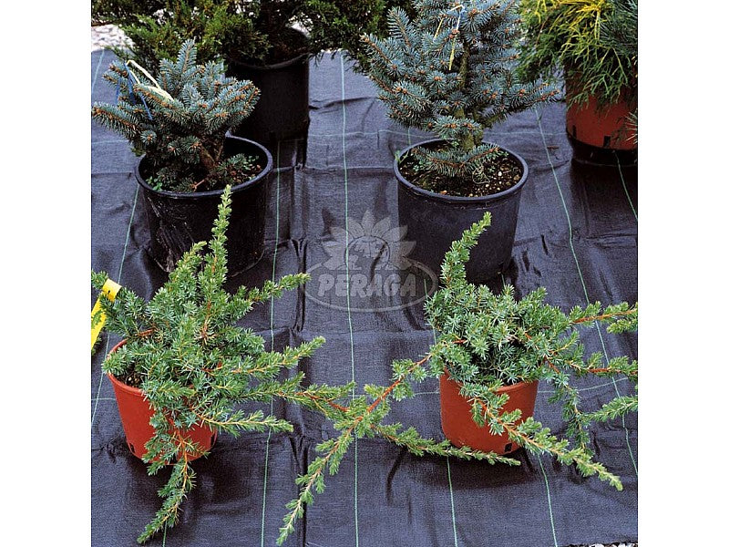 TELO PER PACCIAMATURA IN POLIPROPILENE VERDE M 1,05X10