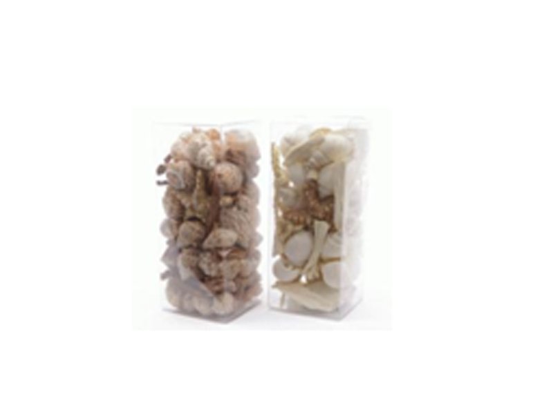 VASI CON MIX CONCHIGLIE