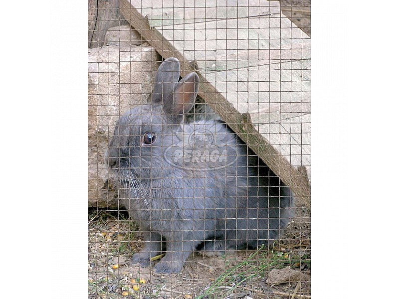 RETE METALLICA PLASTIFICATA SALDATA ELETTRICAMENTE MAGLIA 12,7X1