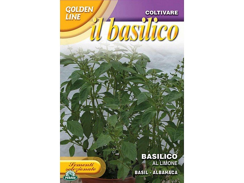 BUSTINA CON SEMI DI BASILICO AL LIMONE