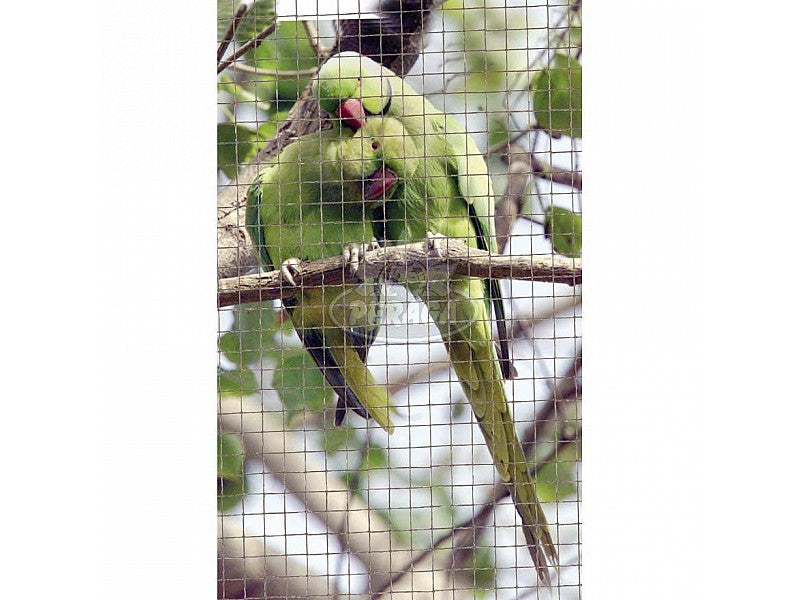 RETE METALLICA PLASTIFICATA SALDATA ELETTRICAMENTE MAGLIA 12,7X1