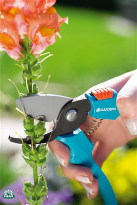 FORBICI DA GIARDINO CLASSIC