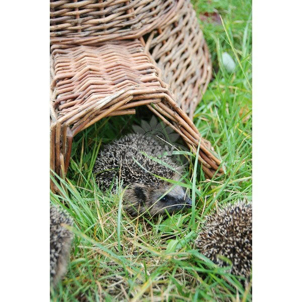 RIFUGIO CASETTA PER RICCI 53X24X25CM