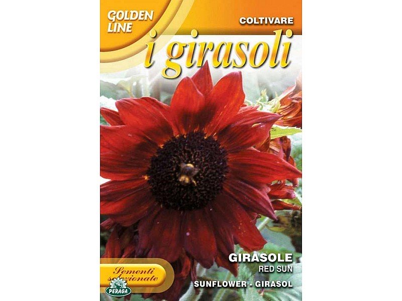 BUSTINA CON SEMI DI GIRASOLE RED SUN