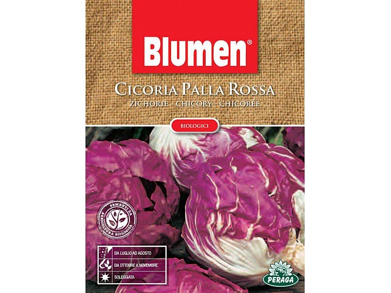 SEMI DI CICORIA PALLA ROSSA BIOLOGICA