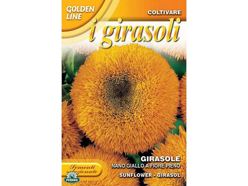 BUSTINA CON SEMI DI GIRASOLE NANO GIALLO A FIORE PIENO