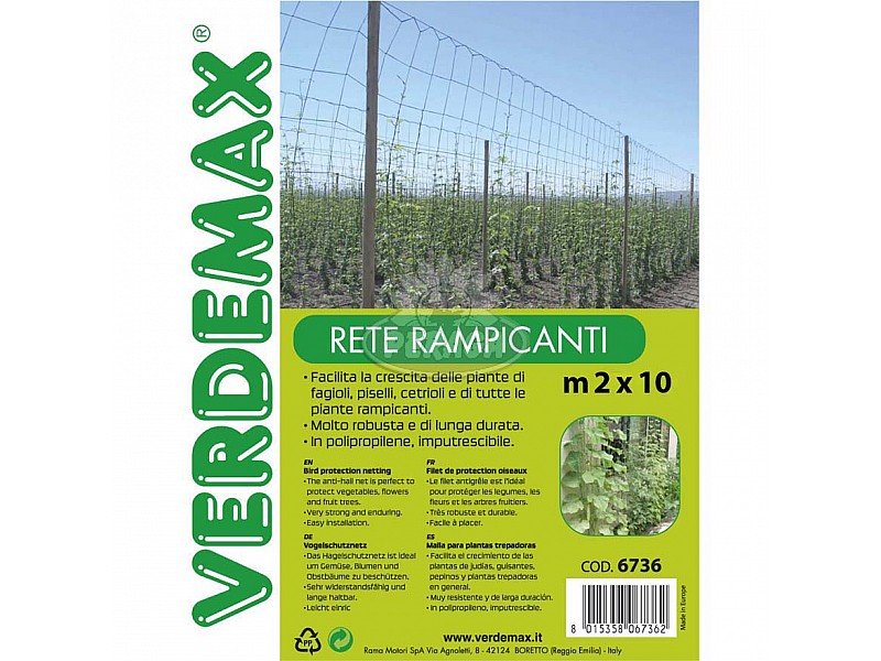 RETE RAMPICANTE M2X10