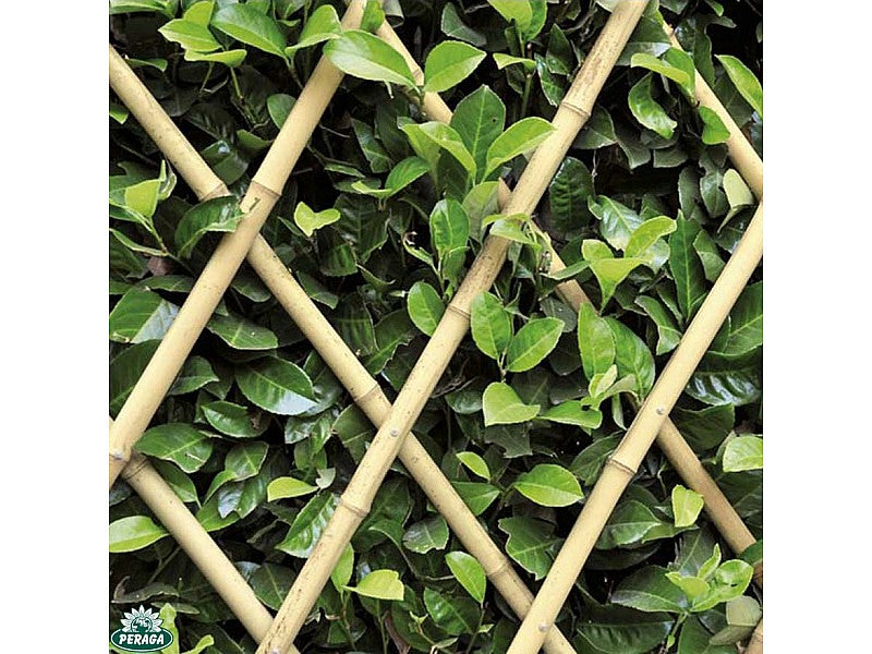 TRALICCIO IN BAMBOO CANNA GROSSA NATURALE M 1,80X0,90X DIAM. 22