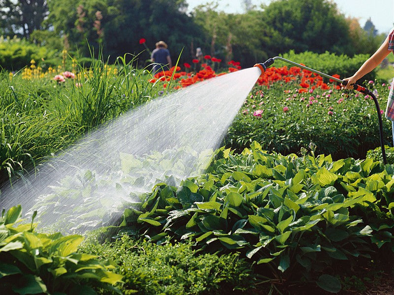 LANCIA MULTIFUNZIONE CON PROLUNGA PROFI-SYSTEM