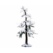 PINO SILVESTRE GRANDE - SCOTCH PINE TREE LARGE COD. 04198