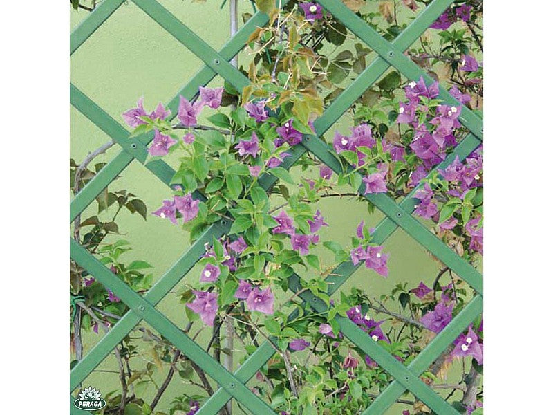 TRALICCIO ESTENSIBILE IN PVC COLORE VERDE M 3,00 X 1,00