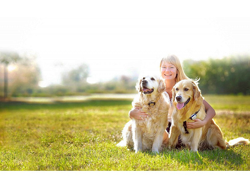 KIPPY IL RILEVATORE DI POSIZIONE GPS PER CANI E GATTI