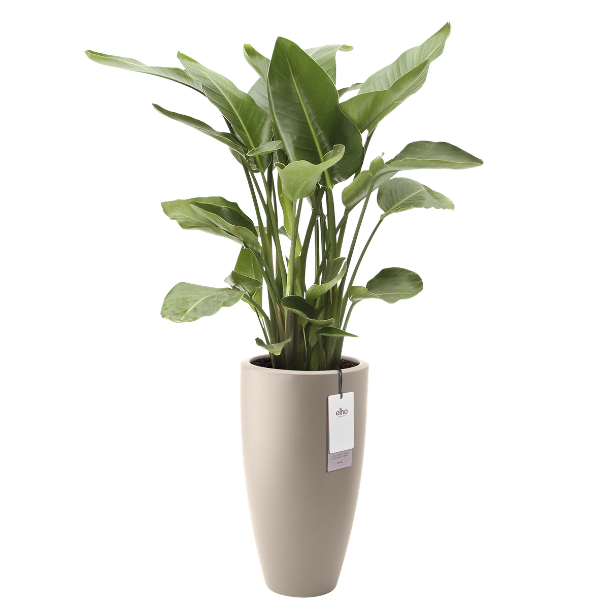 Vaso Rotondo Alto D 39 x H 70 cm Beige ELHO