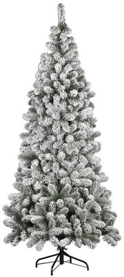 ALBERO DI NATALE KENYA INNEVATO ALTEZZA A SCELTA