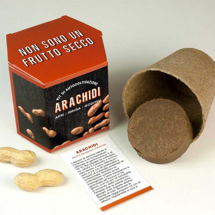 KIT AUTOCOLTIVAZIONE ARACHIDI