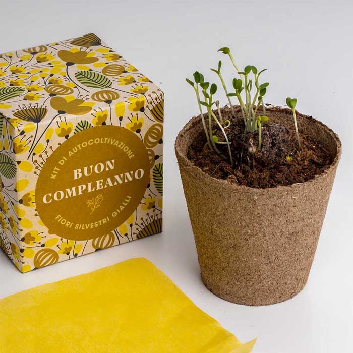 KIT DI AUTOCOLTIVAZIONE DILLO CON I FIORI - BUON COMPLEANNO