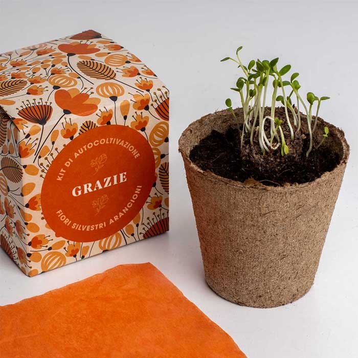 KIT DI AUTOCOLTIVAZIONE DILLO CON I FIORI - GRAZIE
