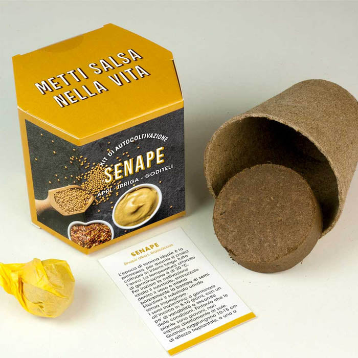 KIT DI AUTOCOLTIVAZIONE SENAPE