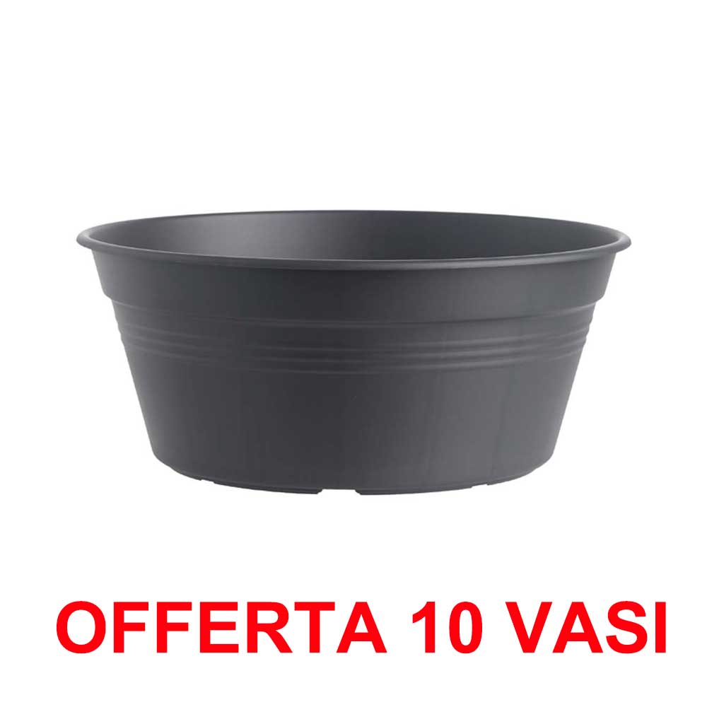 OFFERTA 10 VASO PER BULBI GREEN BASICS BOWL 33CM LIVING BLACK