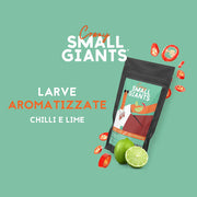 SNACK, LARVE ESSICCATE. 20G, CHILLI E LIME