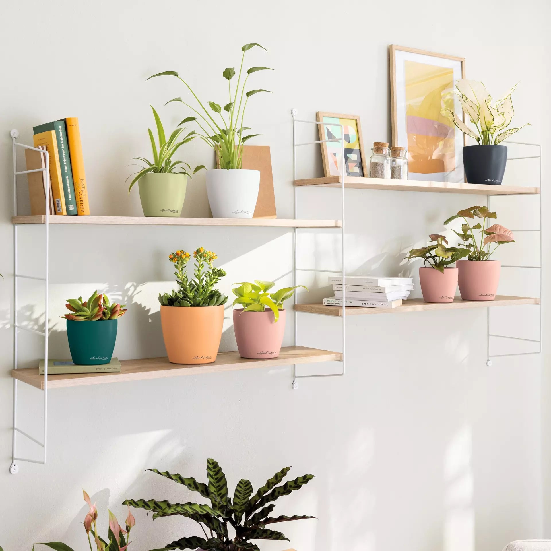 Vaso Classico "Deco 21" D22 H20.5CM Verde Tiglio Opaco LECHUZA