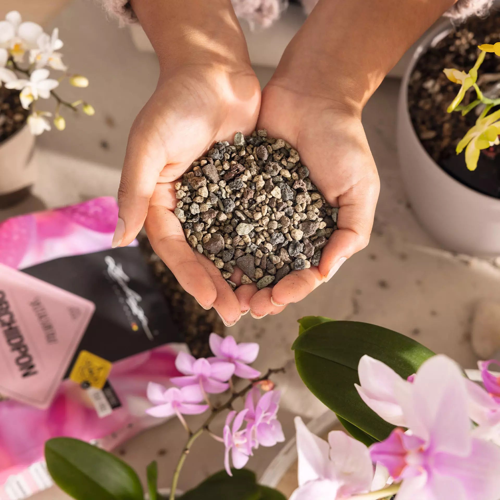 Substrato Biologico Senza Torba per Orchidee ORCHIDPON 3 Litri LECHUZA