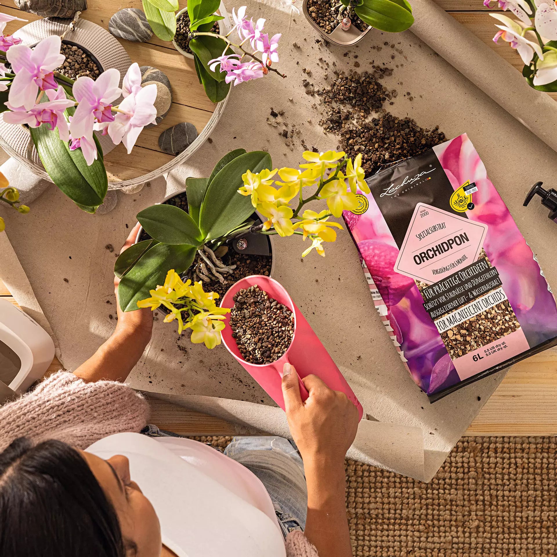 Substrato Biologico Senza Torba per Orchidee ORCHIDPON 3 Litri LECHUZA