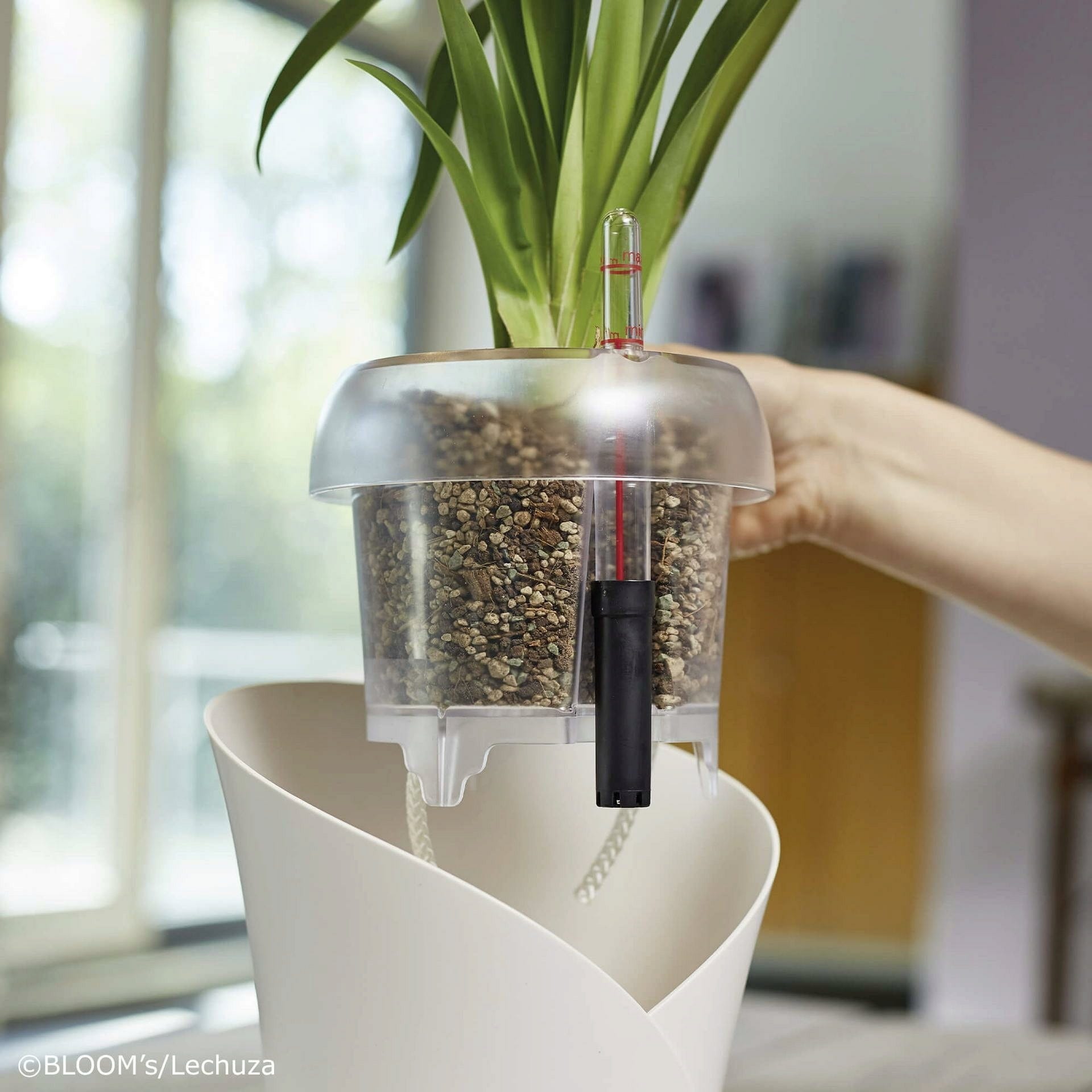 Substrato Biologico Senza Torba per Orchidee ORCHIDPON 3 Litri LECHUZA