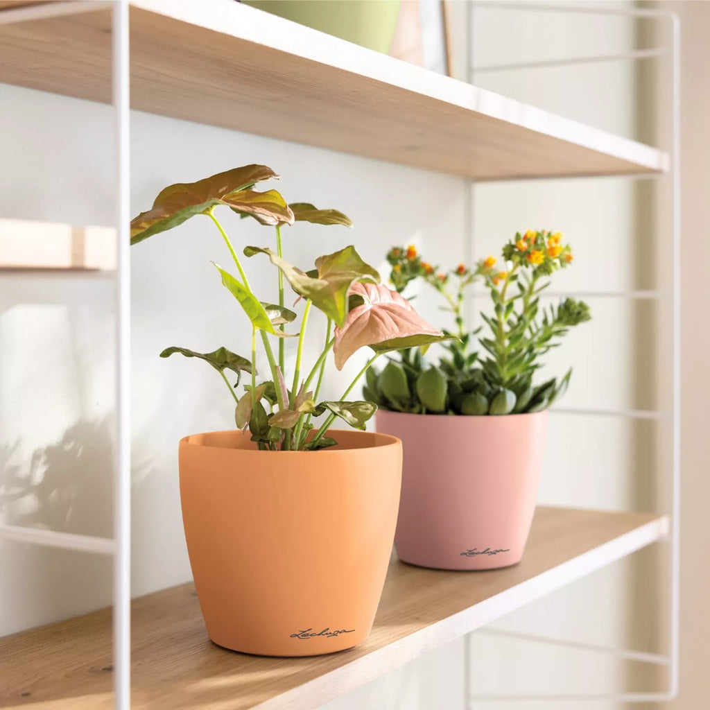 Vaso Classico "Deco 14" D15 H13.5CM Rosa Magnolia Opaco LECHUZA