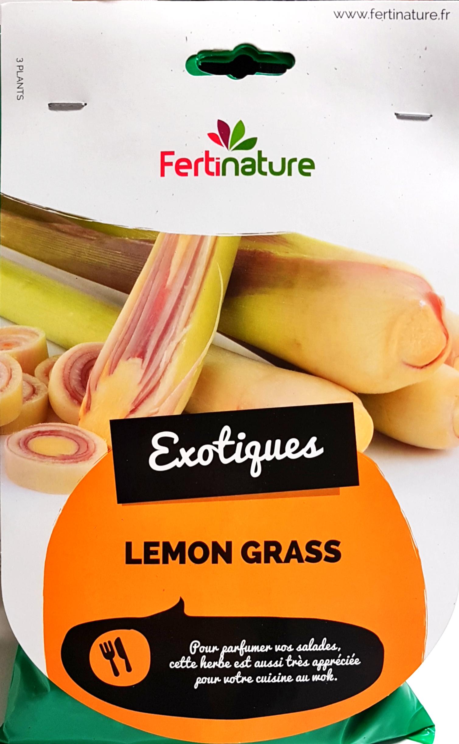 CITRONELLA LEMONGRASS (CONFEZIONE DA 3 RADICI)