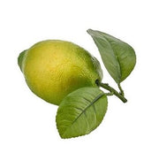 DECORAZIONE LIME CON FOGLIE 10CM