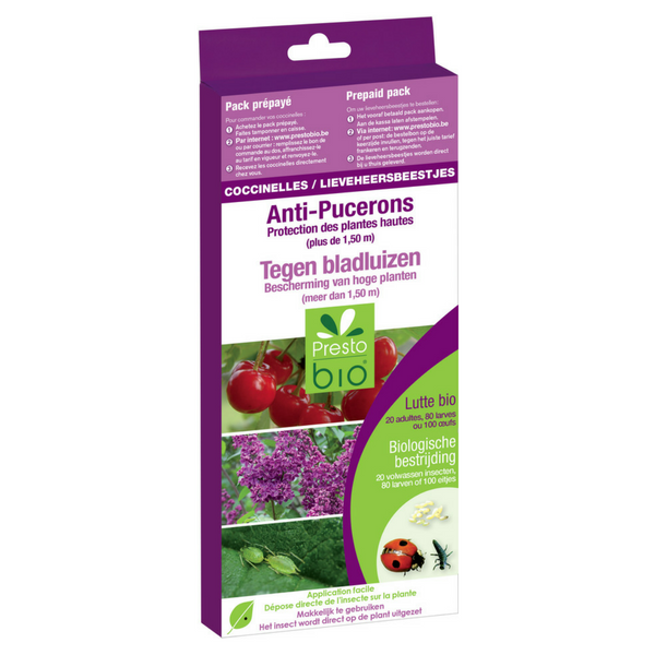 COCCINELLE ANTI AFIDI PROTEZIONE ALBERI DA FRUTTA PIU' DI 150 CM