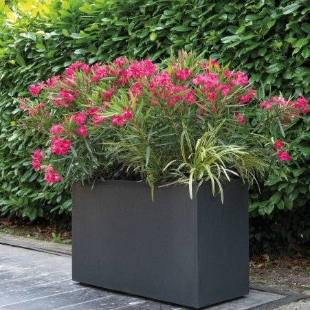 Fioriera con ruote Millennium 98cm Antracite Deroma