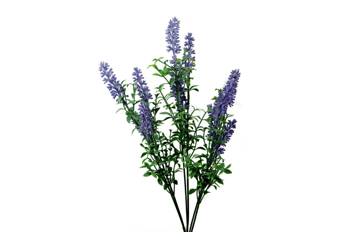 LAVANDA PICK 62CM