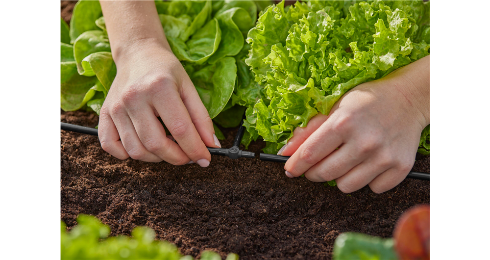 RACCORDO A T 4,6 MM 4,6 MM - (3/16)