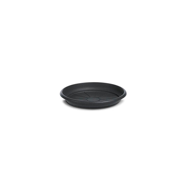 SOTTOVASO LINEA MEDITERRANEO DIAMETRO 26CM  COLORE A SCELTA