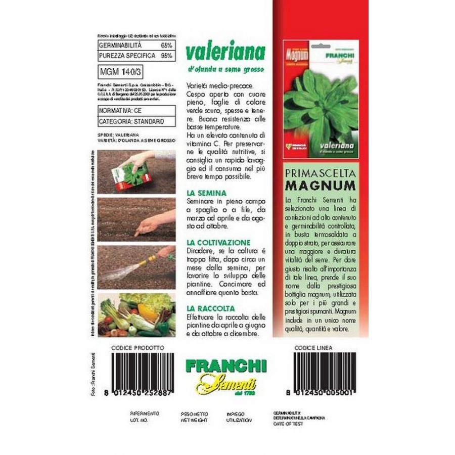 SEMI VALERIANA D'OLANDA SEME GROSSO BUSTA MAGNUM