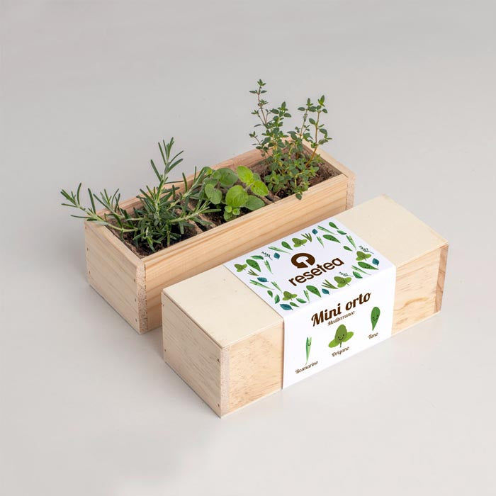 MINI ORTO - MEDITERRANEO
