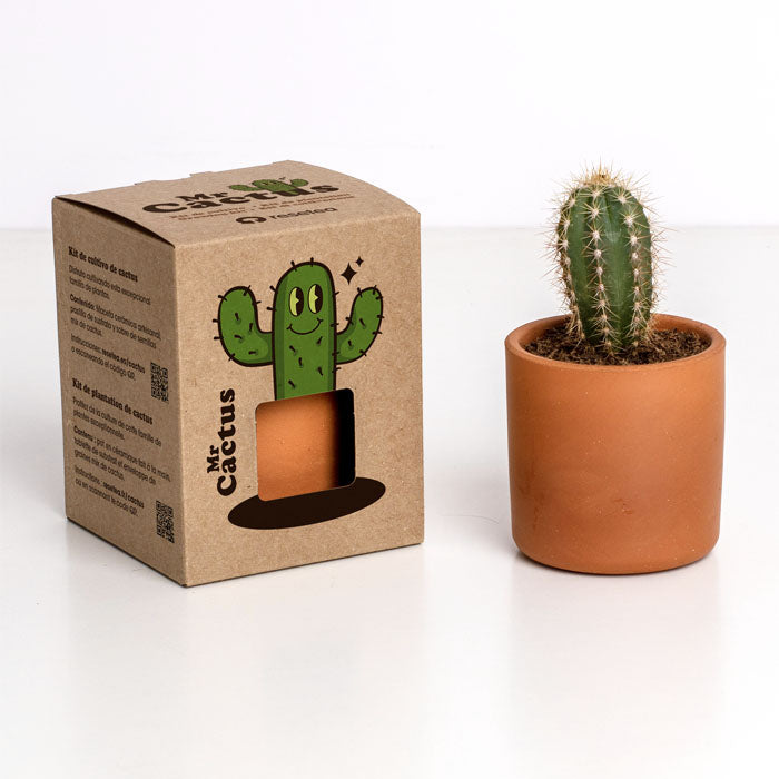 MR CACTUS 8,5X10,7X8,5CM