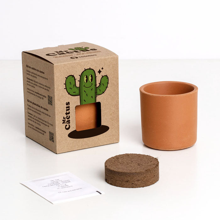 MR CACTUS 8,5X10,7X8,5CM