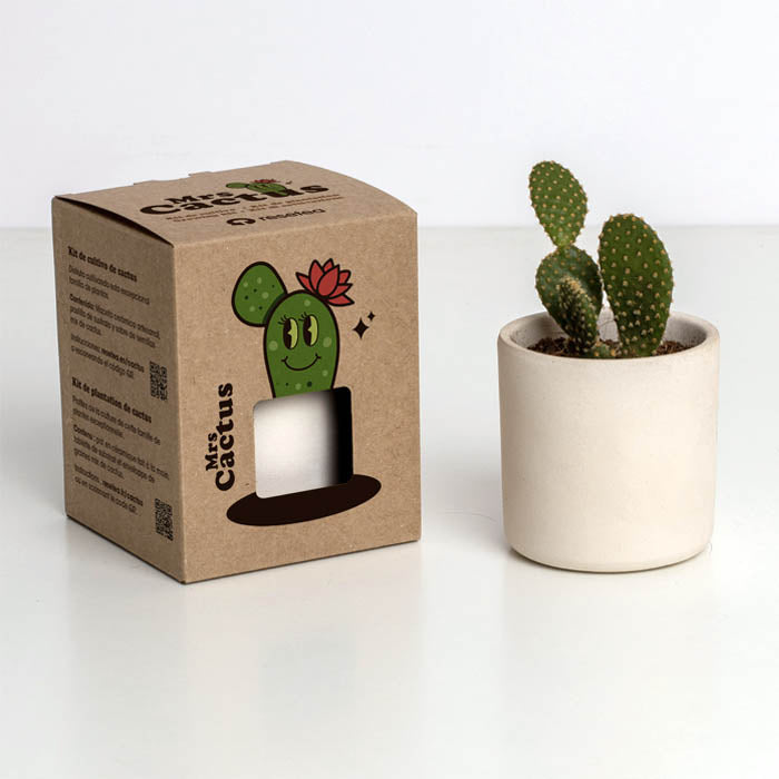 MRS CACTUS 8,5X10,7X8,5CM