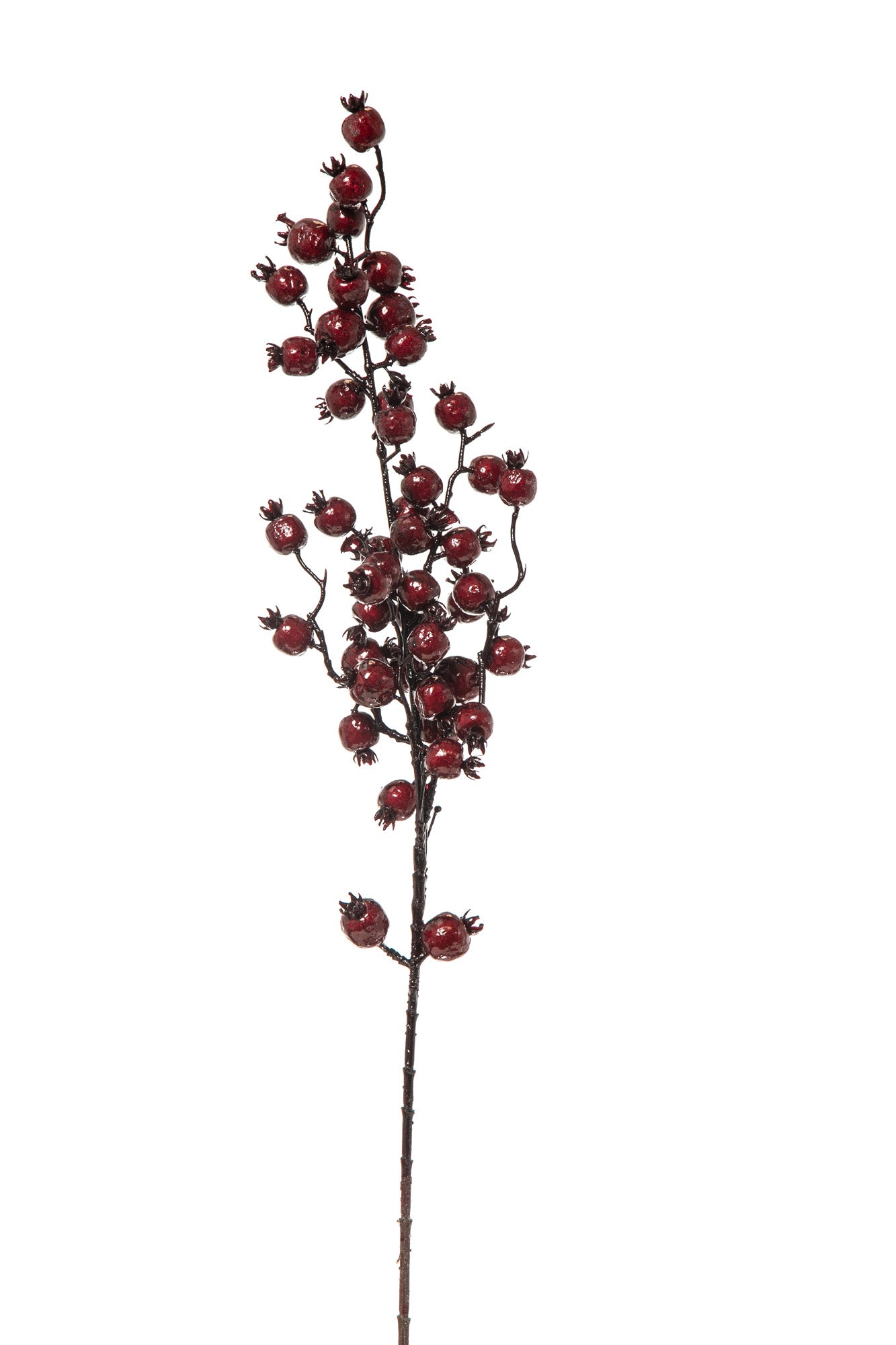 RAMO CON BACCHE BORDEAUX 80CM