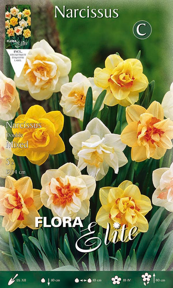 OFFERTA 15 BULBI BULBI NARCISO DOUBLE MIX