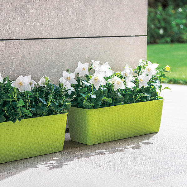 VASO BALCONETTA NATURAL 40CM CON RISERVA ACQUA COLORE A SCELTA