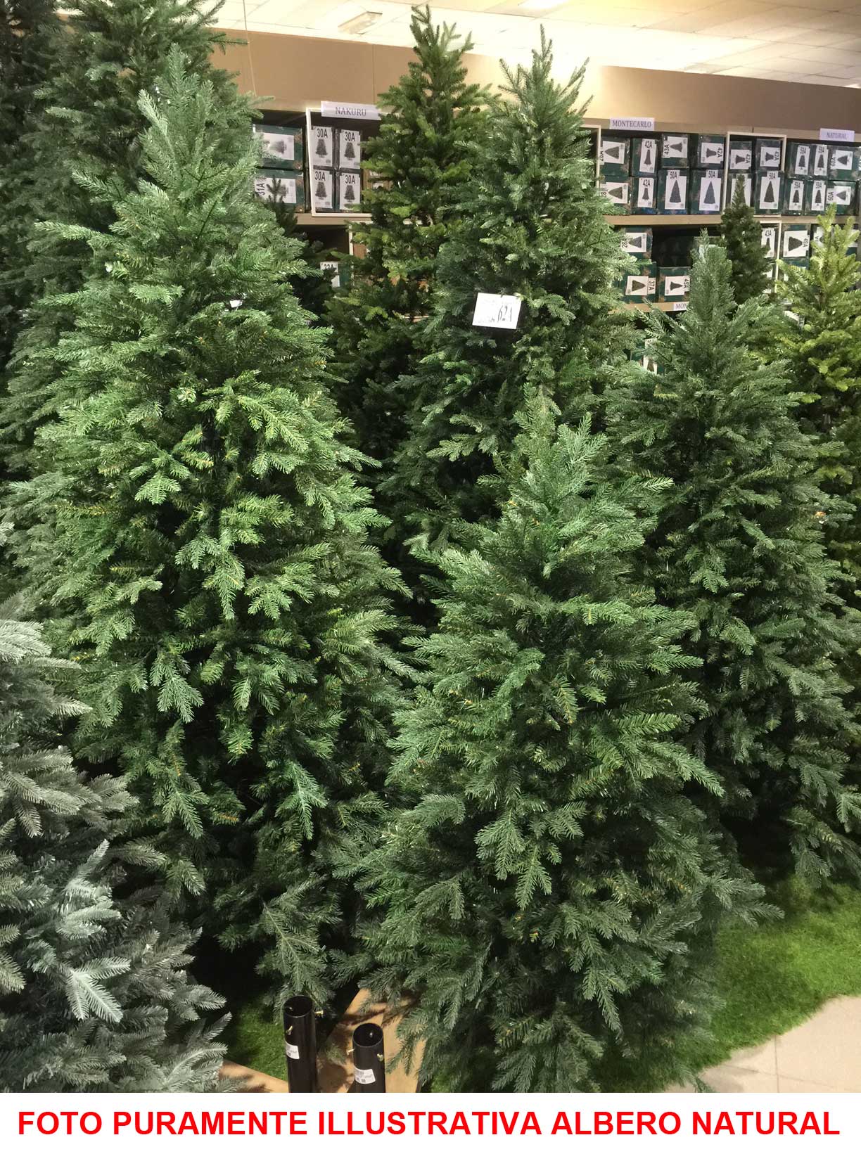 ALBERO DI NATALE 180CM NATURAL VERDE
