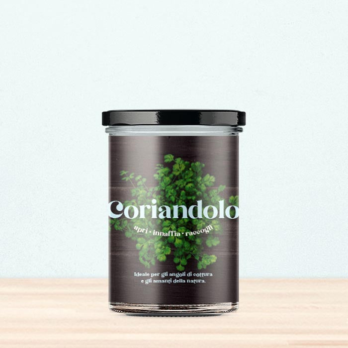 ORTO CUCINA - CORIANDOLO