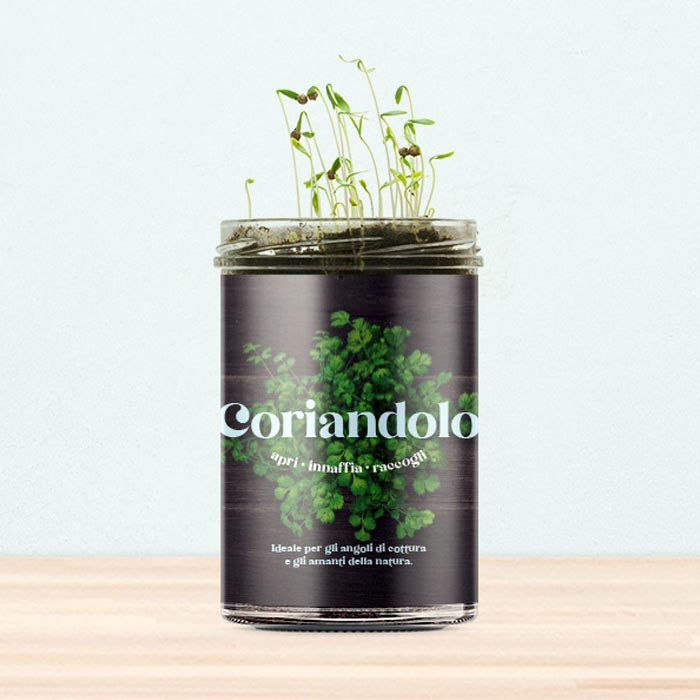 ORTO CUCINA - CORIANDOLO